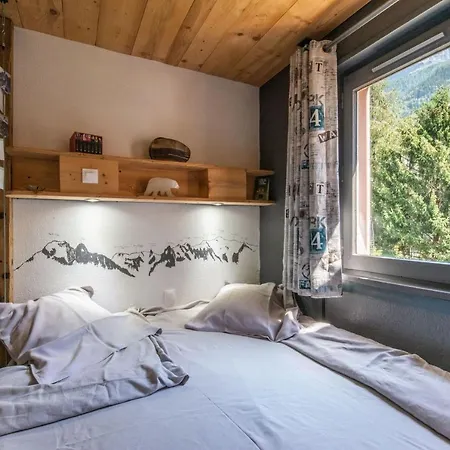 Apartment Modern With Mont-blanc View *